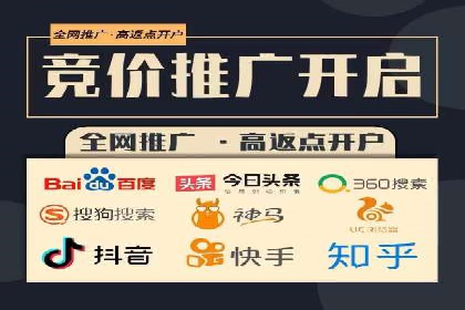 某电商平台的SEM广告投放策略及效果评估